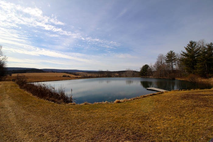 17+/- ACRES HOME, BARN, POLE BUILDING MULTIPLE PONDS | The ...