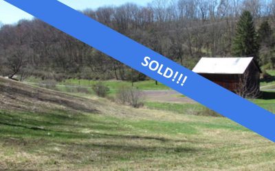 29 Acres, Pond, Bank Barn in Catawissa