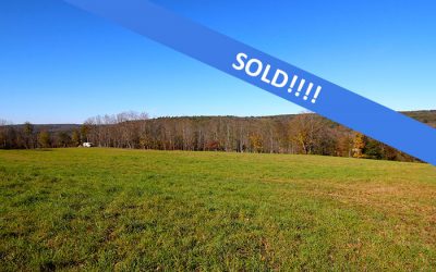 243 +/- Acres Land for Sale