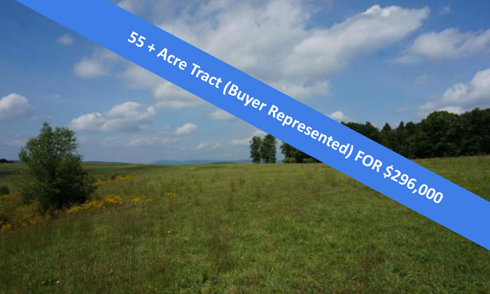55 + Acre Tract (Buyer Represented)