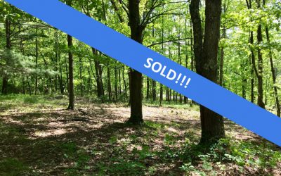 6.5 Acre Wooded Lot