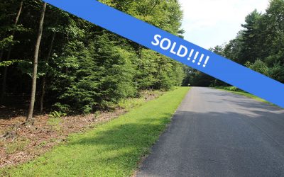 3.3 Acre Building Lot in Secluded Subdivision