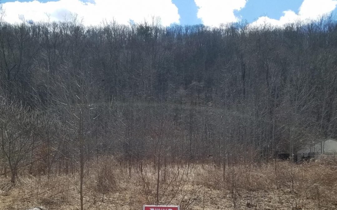 Building Lot in Conyngham Valley