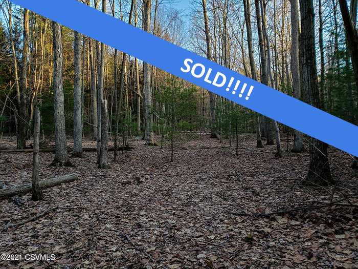 59+/- Mostly Wooded Acres