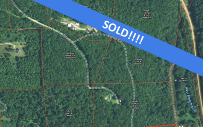10 Acres of Wooded Land