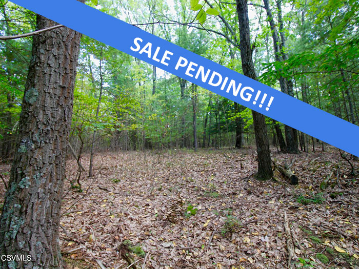219 +/- Acres of Wooded Land