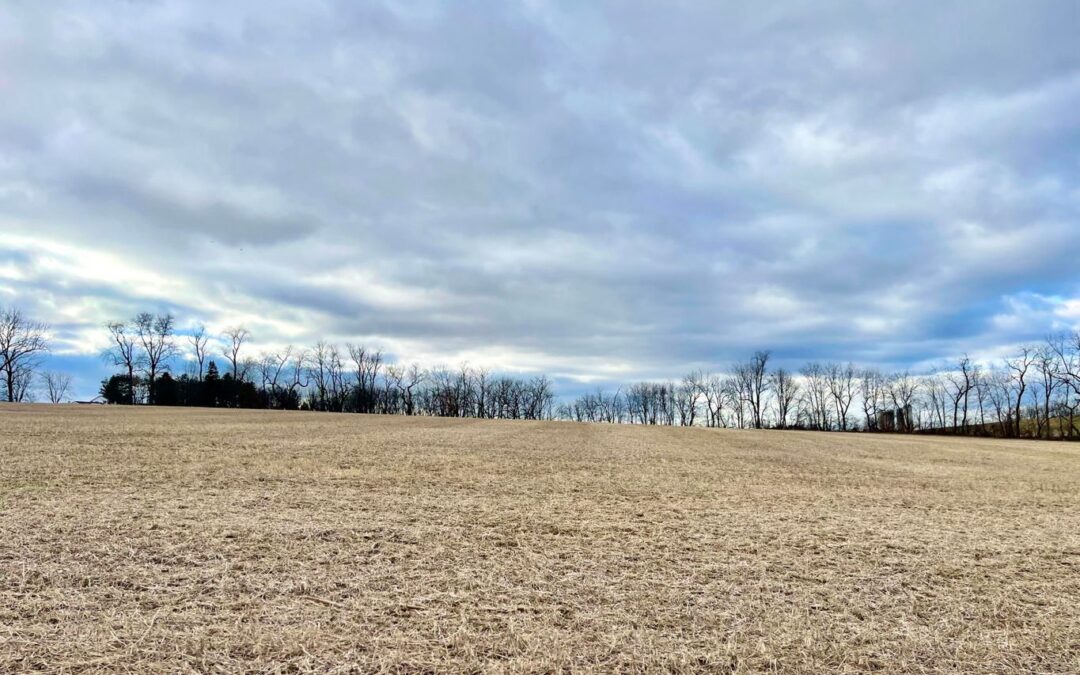 13.28 Acres of Tillable Land